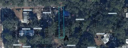 ALACHUA FL Property