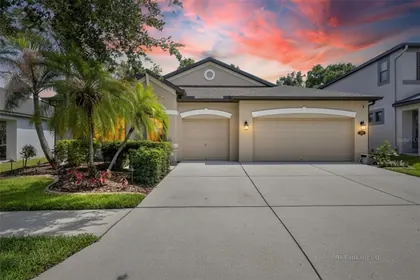 SEFFNER FL Home