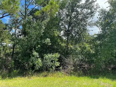 SEBRING FL Property