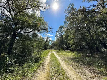 WILLISTON FL Property