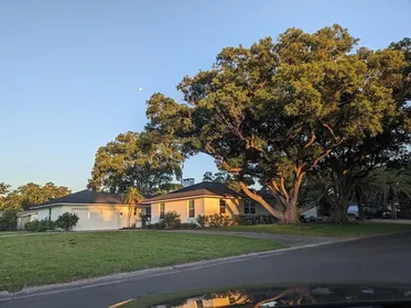 DUNEDIN FL Home