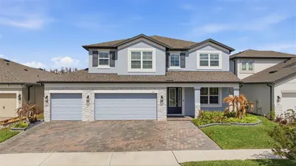 WESLEY CHAPEL FL Home