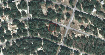 OCKLAWAHA FL Property