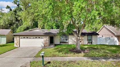 OLDSMAR FL Home