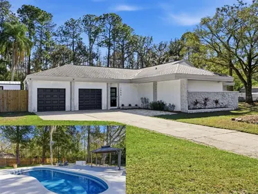 LUTZ FL Home