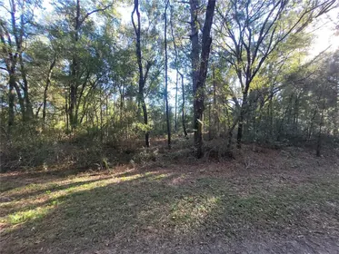 OCALA FL Property