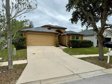 VALRICO FL Home