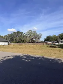 GOTHA FL Property