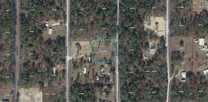 WILLISTON FL Property