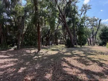 TEMPLE TERRACE FL Property