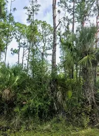 NORTH PORT FL Property