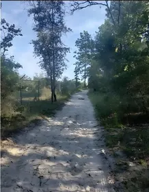 MORRISTON FL Property