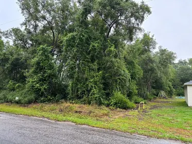 OCKLAWAHA FL Property