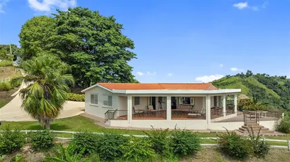 LARES PR Home