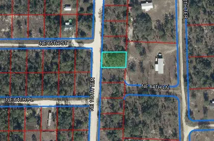 WILLISTON FL Property