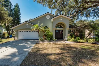 VALRICO FL Home