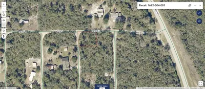 SALT SPRINGS FL Property