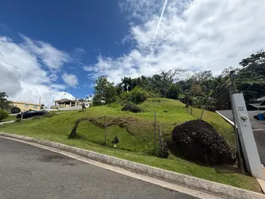 CIDRA PR Property