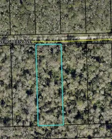 BUNNELL FL Property