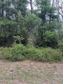 DUNNELLON FL Property