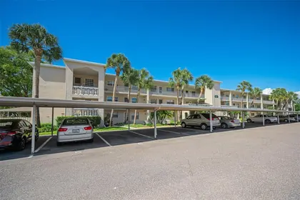 DUNEDIN FL Home