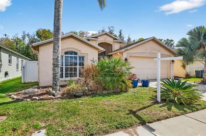 WESLEY CHAPEL FL Home