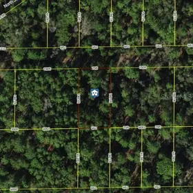 DUNNELLON FL Property