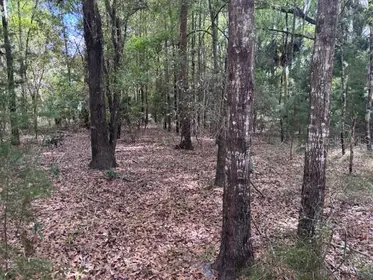 CHIEFLAND FL Property
