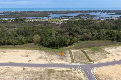 FLAGLER BEACH FL Property