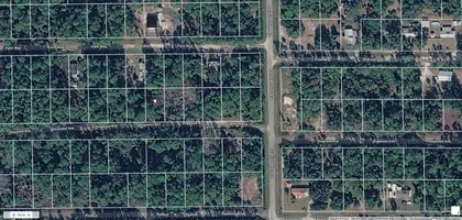 GEORGETOWN FL Property