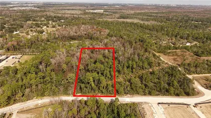 DAVENPORT FL Property