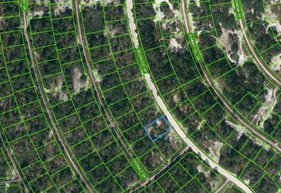 LAKE PLACID FL Property