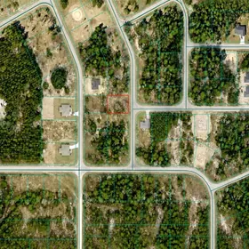 OCKLAWAHA FL Property
