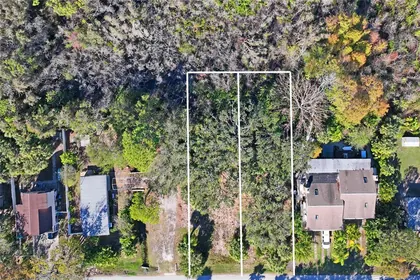 CRYSTAL BEACH FL Property