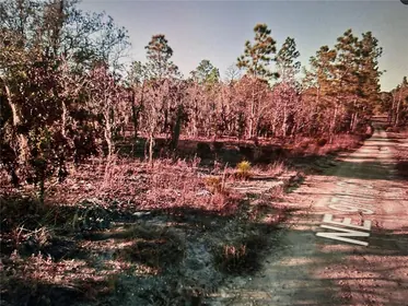 BRONSON FL Property