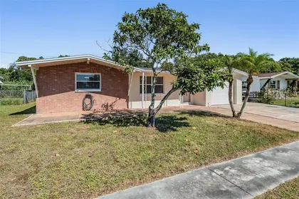HOLIDAY FL Home