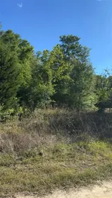 INVERNESS FL Property