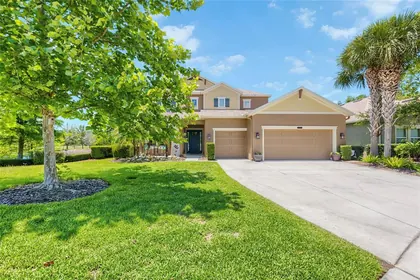 LAND O LAKES FL Home