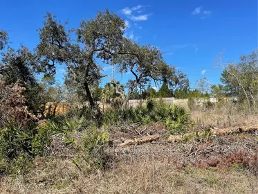 HUDSON FL Property