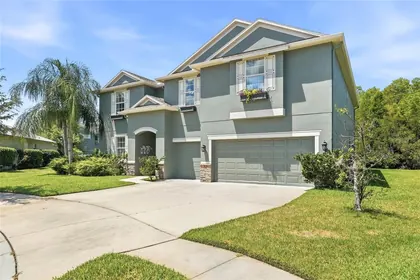 LAND O LAKES FL Home