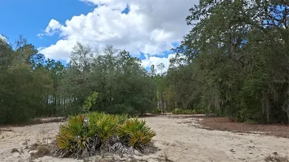 OCKLAWAHA FL Property