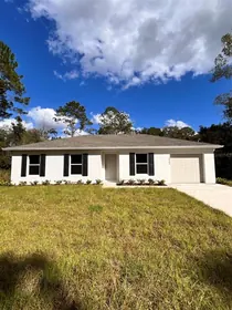 HASTINGS FL Home