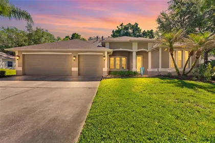 BRANDON FL Home