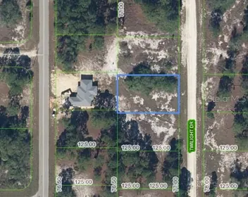 LAKE PLACID FL Property