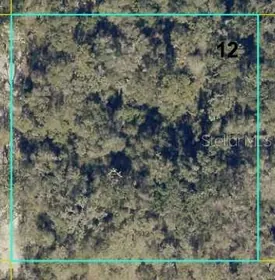 WEBSTER FL Property