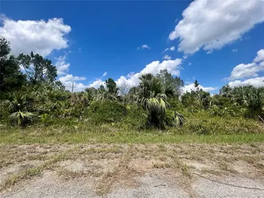 NORTH PORT FL Property