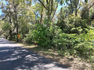 WEBSTER FL Property