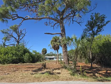 NEW PORT RICHEY FL Property