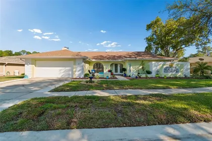 NEW PORT RICHEY FL Home