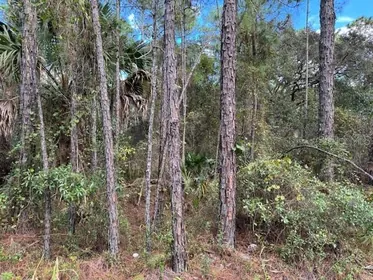 DELAND FL Property